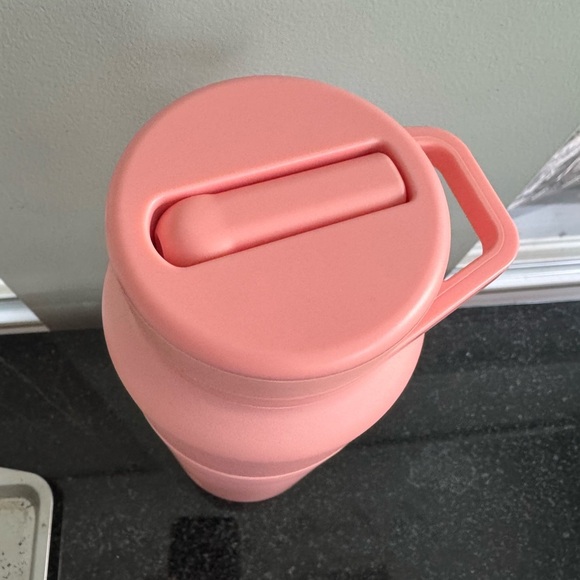 Guava Insulated Bottle - Picture 4 of 4